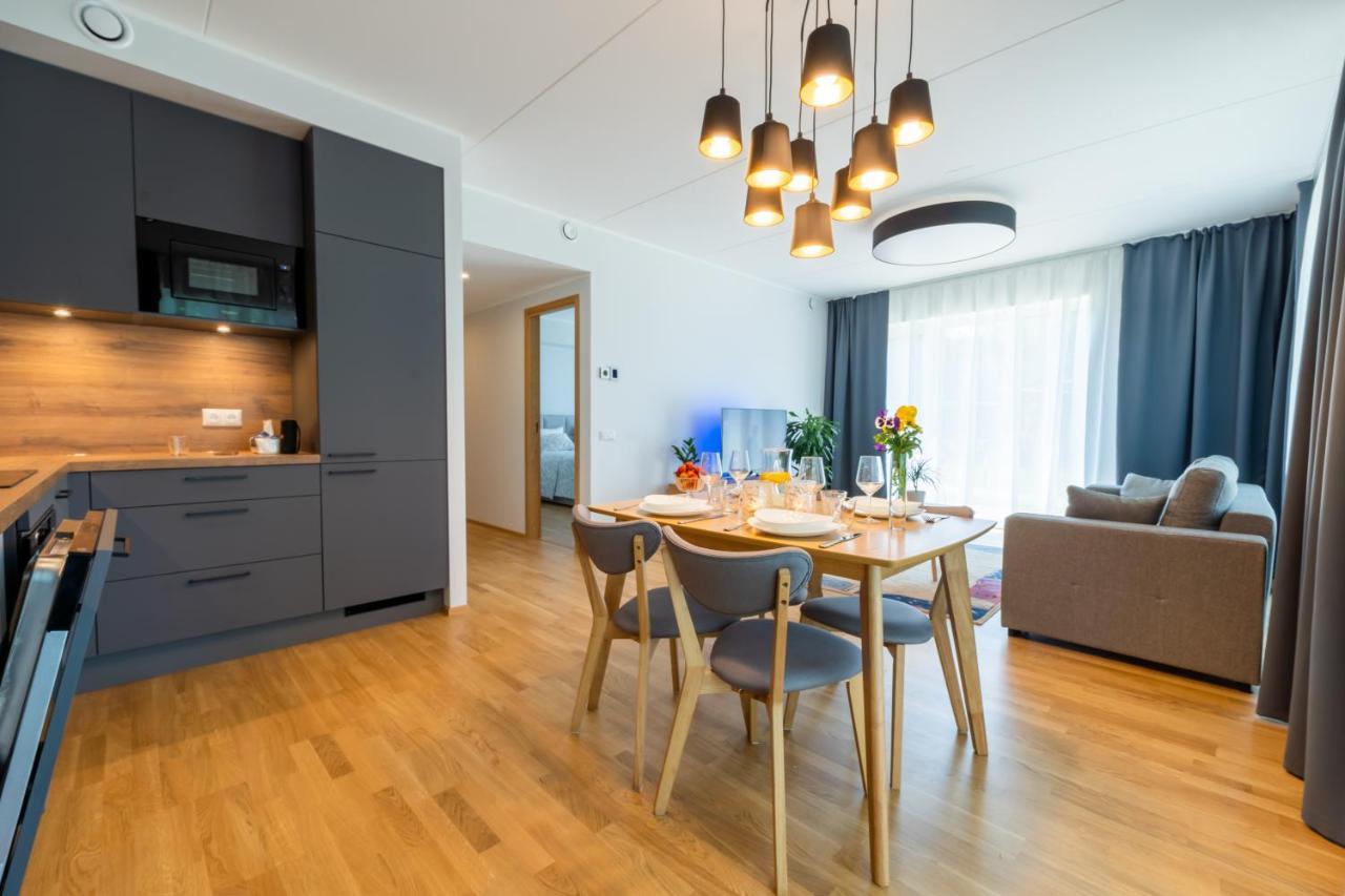 Delta Luxury Apartment With Terrace タルトゥ エクステリア 写真