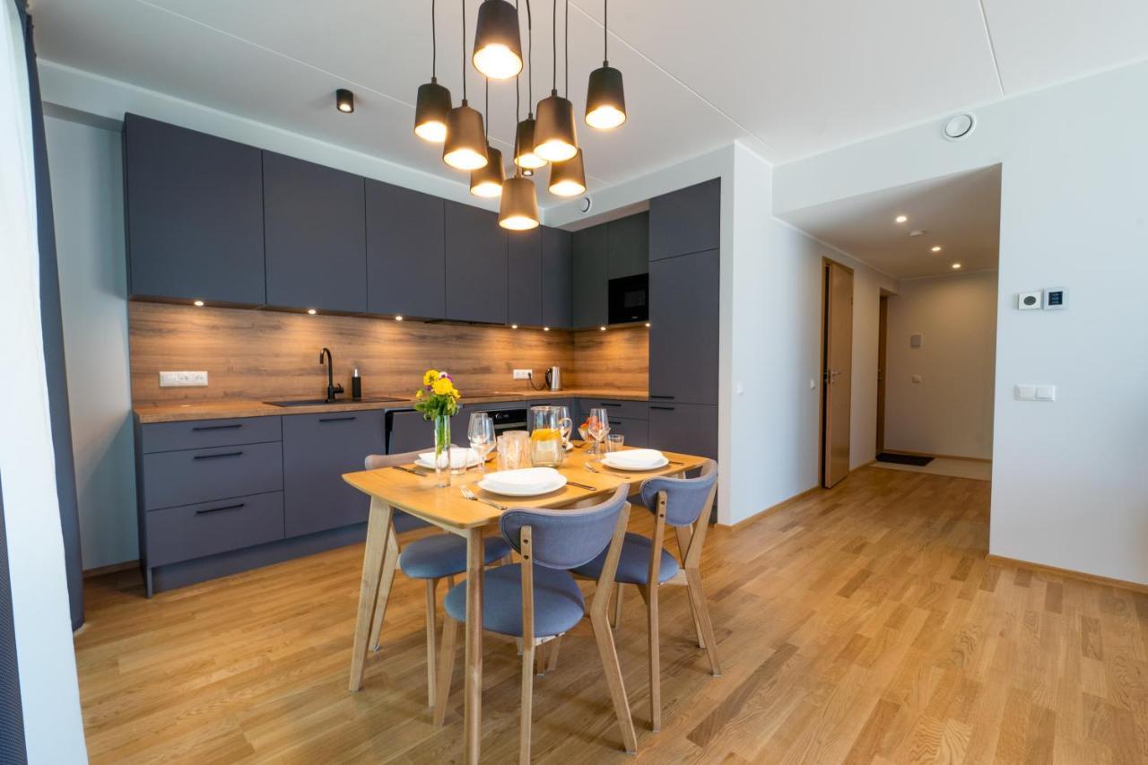 Delta Luxury Apartment With Terrace タルトゥ エクステリア 写真